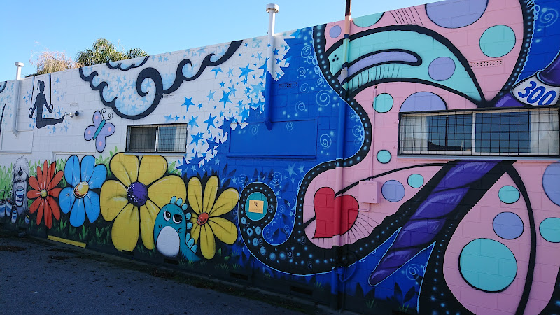 All Boys and All Girls Club - Queenstown Gymnastics in Queenstown