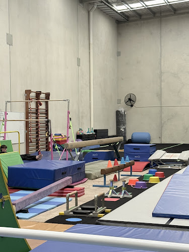 Apex Gymnastics in Forrestfield