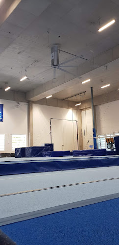 Brisbane Grammar School Gymnastics Club in Spring Hill