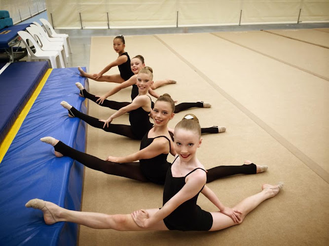 Le Ray Gymnastics Abbotsleigh in Wahroonga
