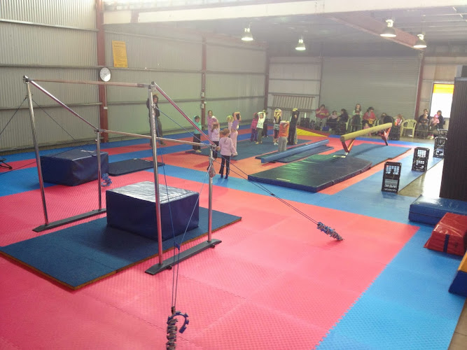 Mudgee Gymnastics in Mudgee