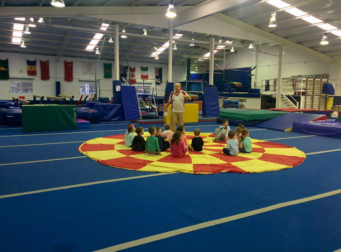 NSW Academy of Gymnastics in Miranda