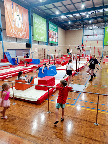 Star-Mites Gymnastics in Leederville