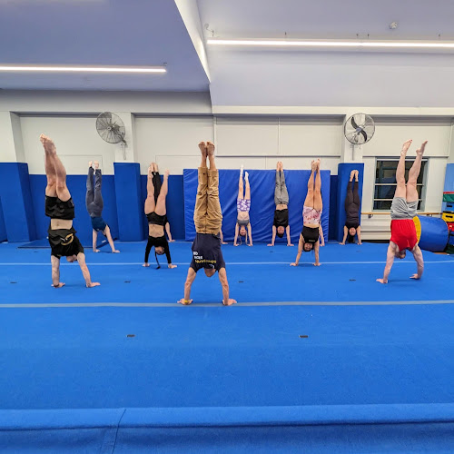 Sydney Uni Gymnastics Club in Camperdown