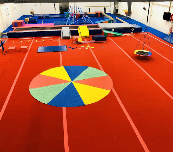 The Gymnastics Revolution in Summer Hill